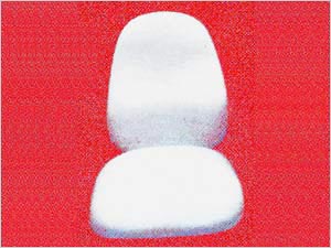 P.U. Cushions