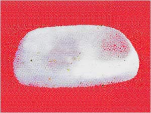 P.U. Cushions